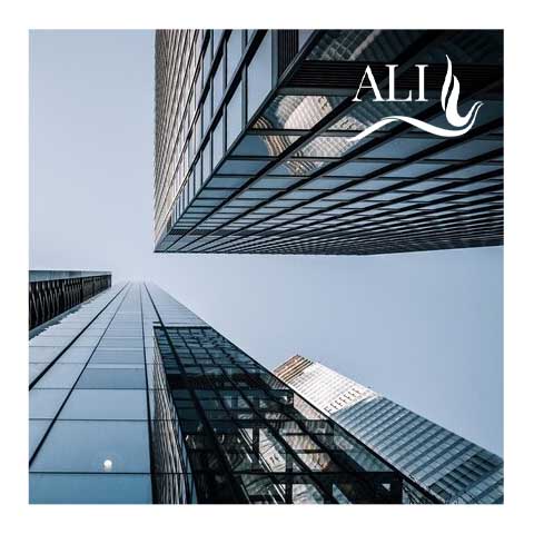 ALI Antitrust Litigation Investment | Italian Class Action