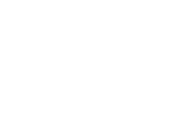 A.L.I. Antitrust Litigation Investment S.p.A.